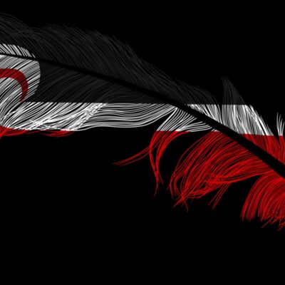 Feather for T Thumbnail